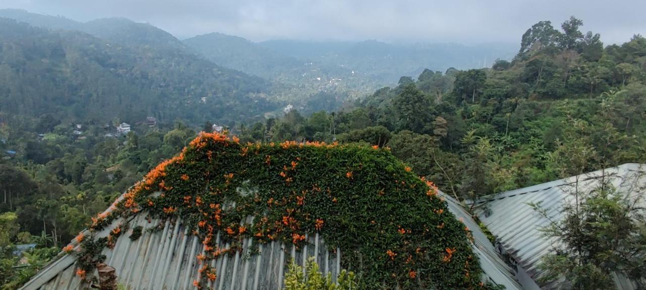 Munnar Tea Hills Resort - Mthr Exterior photo