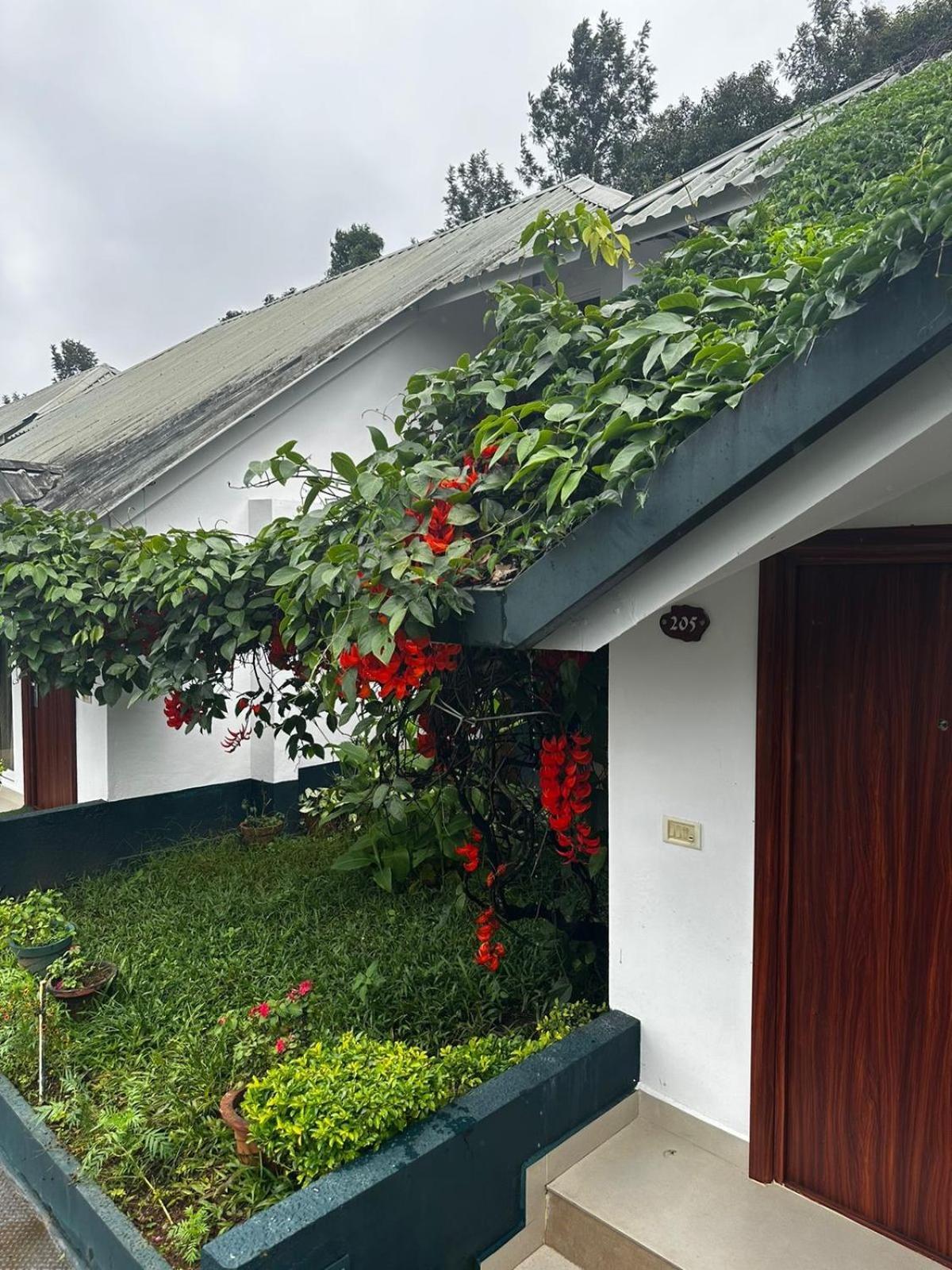 Munnar Tea Hills Resort - Mthr Exterior photo