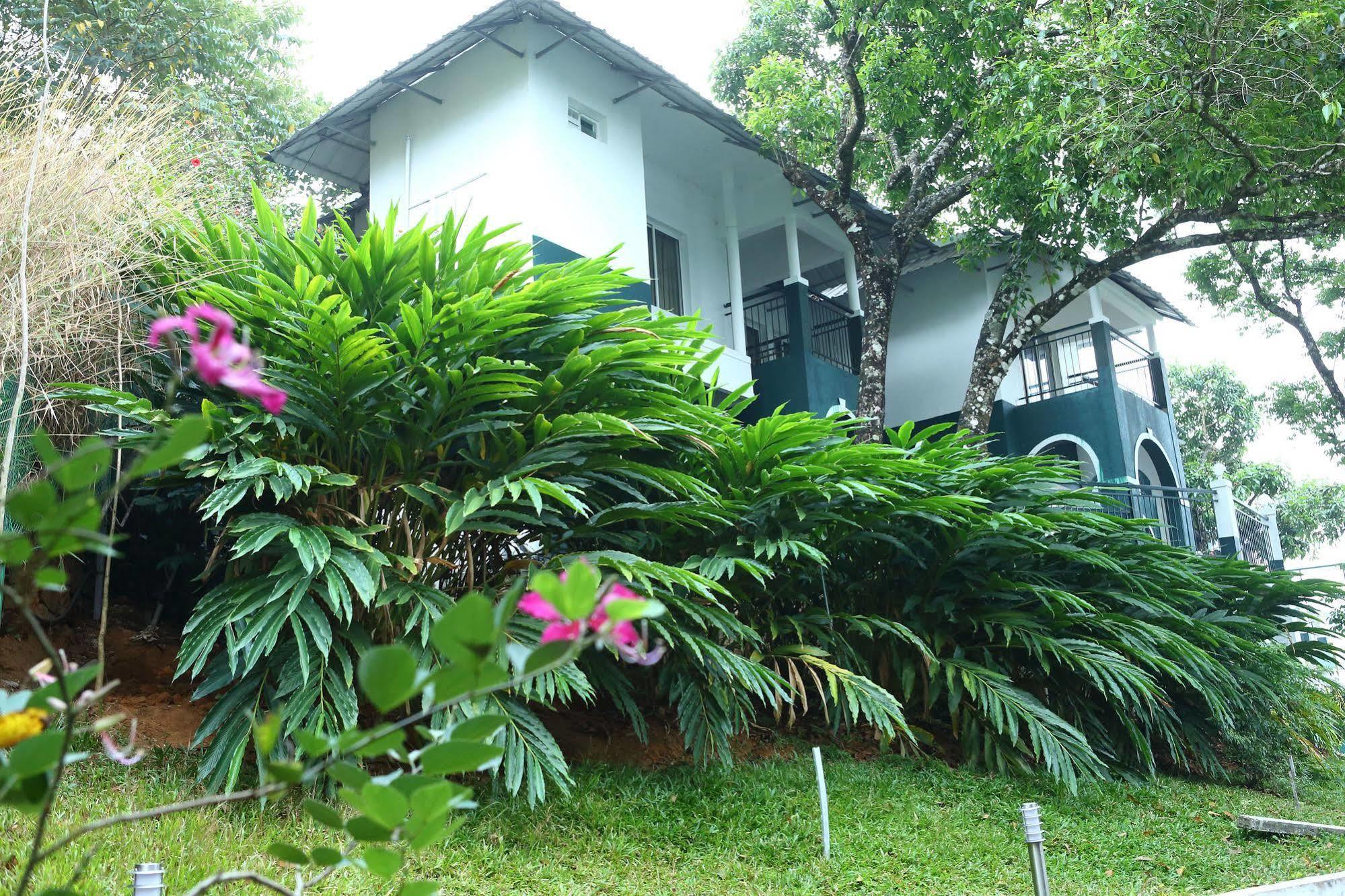 Munnar Tea Hills Resort - Mthr Exterior photo